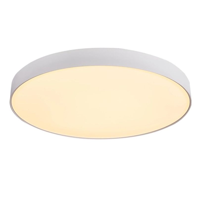 Nordic Smart Indoor LED Lighting Decorative Ceiling Light