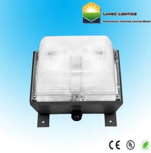 40W, 60W Electrodeless Induction Ceiling Lamp (LG0379A)