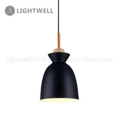 Decorative Suspension lamp iron indoor Pendant Light