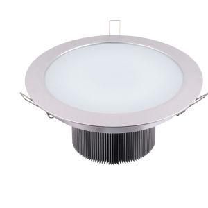 LED Down Light (BS-TH15W-C002)