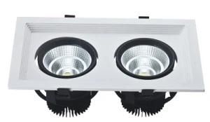 LEDs Down Light COB 45W LED Down Light