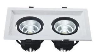 LEDs Down Light COB 45W LED Down Light