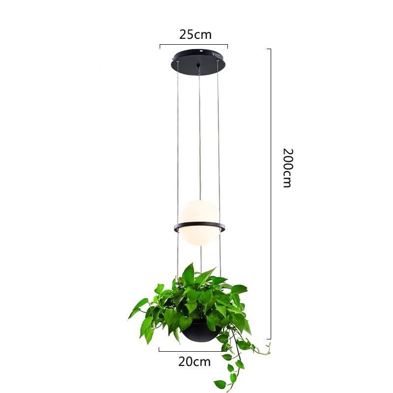 LED Plant Pendant Light Glass Ball Lamp Creative Art Pendant Lamp Country Restaurant Cafe Bar Suspension Lamp (WH-AP-125)