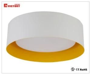 Round Simple Modern LED Lighting Ceiling Lamp