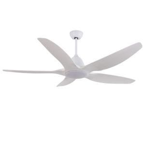 Five ABS Plastic Blades AC Pure Copper Motor Decorative Ceiling Fan with LED Light and Remote Control Switch