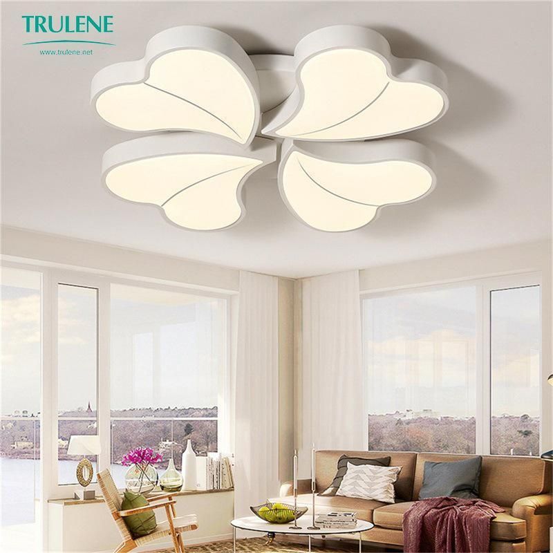 Nordic Ceiling Lamp Modern Easy Install LED Home Lighting