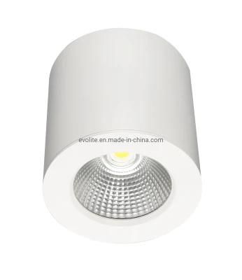 Factory Directly Sale High End LED Downlight 18W Surface Mounted COB LED Downlight Smx5c