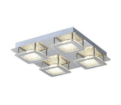 Modern Ceiling Lamp with LED 24W C51010