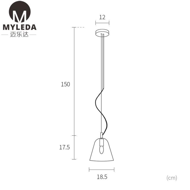 Hand Blown Glass Clear Glass Pendant Light Fixture