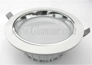 18W LED Downligh Ceiling Light