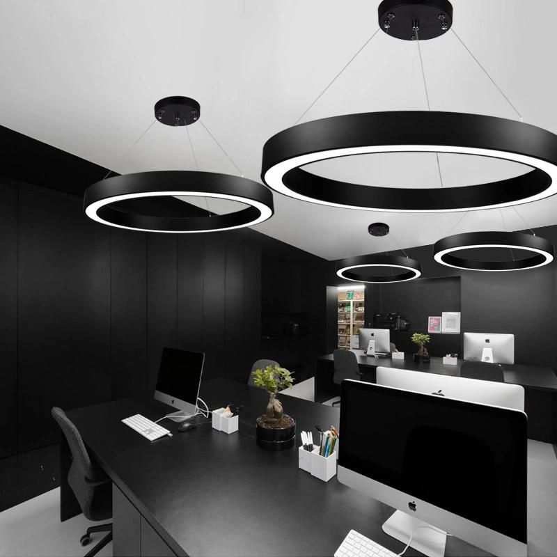 Custom Made Diameter Size Round Ring Shape LED Linear Pendant Light