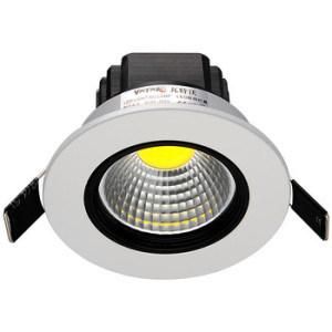 LED Down Light COB 9W LED Down Light