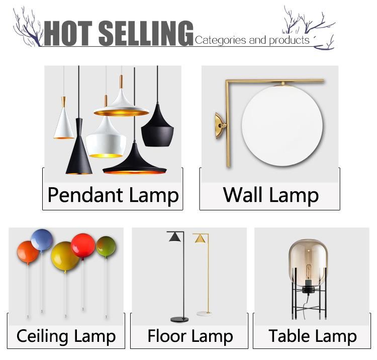 Black Chandelier LED Hanging Pendant Lamp for Decoration