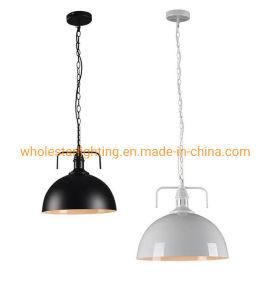 Metallic Pendant Lamp (WHP-780)