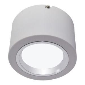 LED Dimmable 22W Down Light/Downlights/Downlight Manufacturer