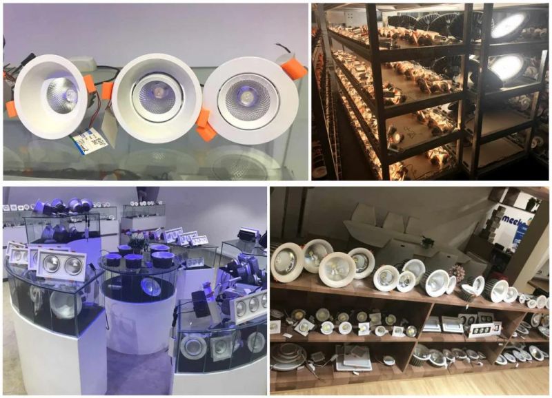 5W Adjustable Recessed COB LED Downlight (Wd-Dl-9072)