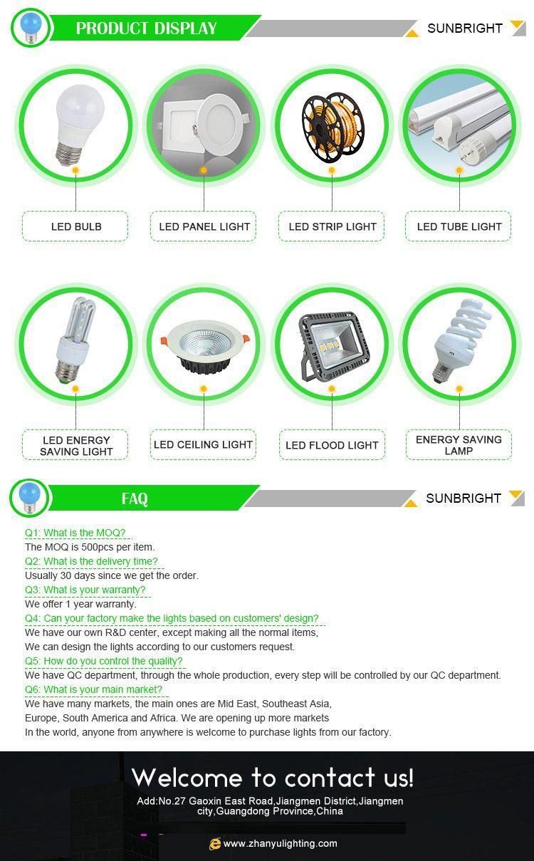 COB 30W LED Down Light