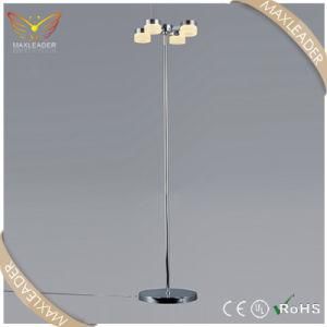 Modern Chrome Decoration Lights Acrylic LED Floor Lamp (ML7358)