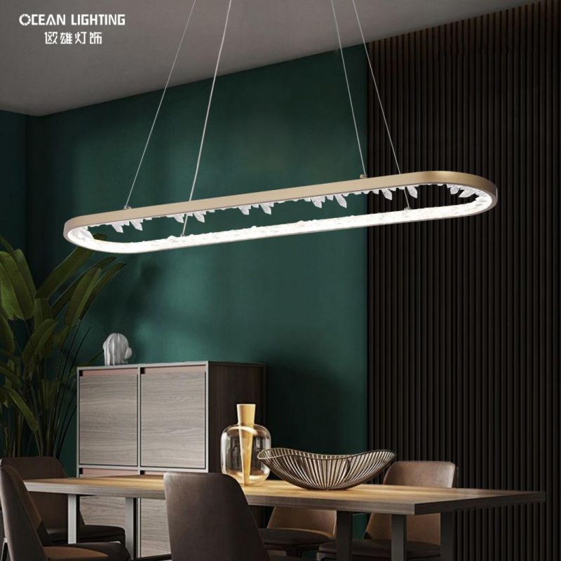 Modern Indoor Gold Painted Pendant Lamp for Home Hotel Restaurant Villa