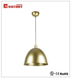 Modern Simple Round Pendant Hanging Lamp for Hotel Shop Restaurant
