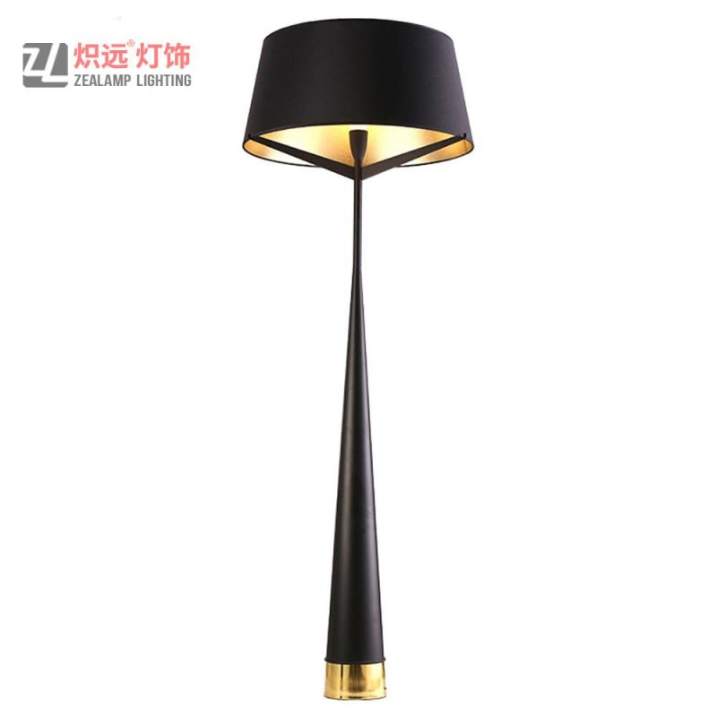 Indoor Lighting Iron Decoration Lamp for Living Room (ZLF023)