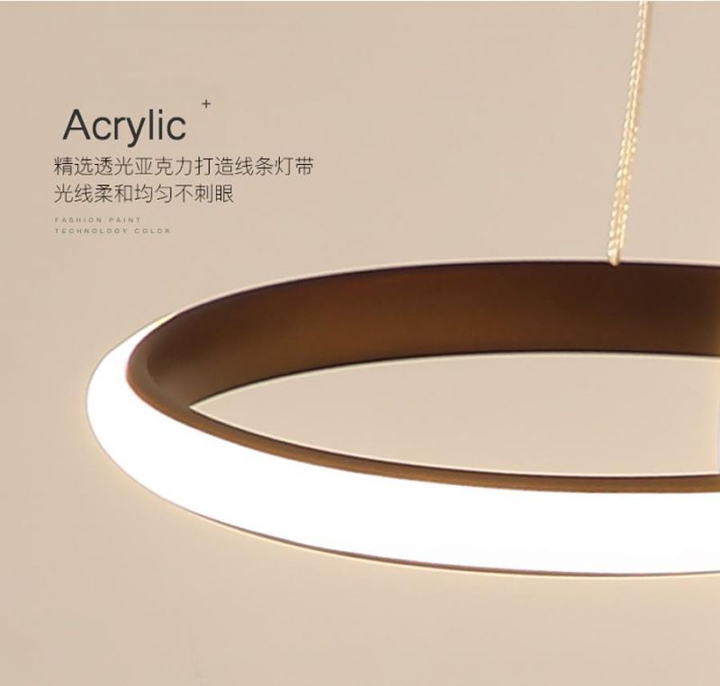 Nordic Style Art Simple Pendant Light Bedroom Hotel LED Unna Artistic Circular Wave Pendant Light (WH-AP-313)