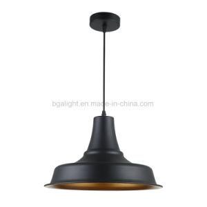 Coffice House Decoration Metal Pendant Light with Simple Design