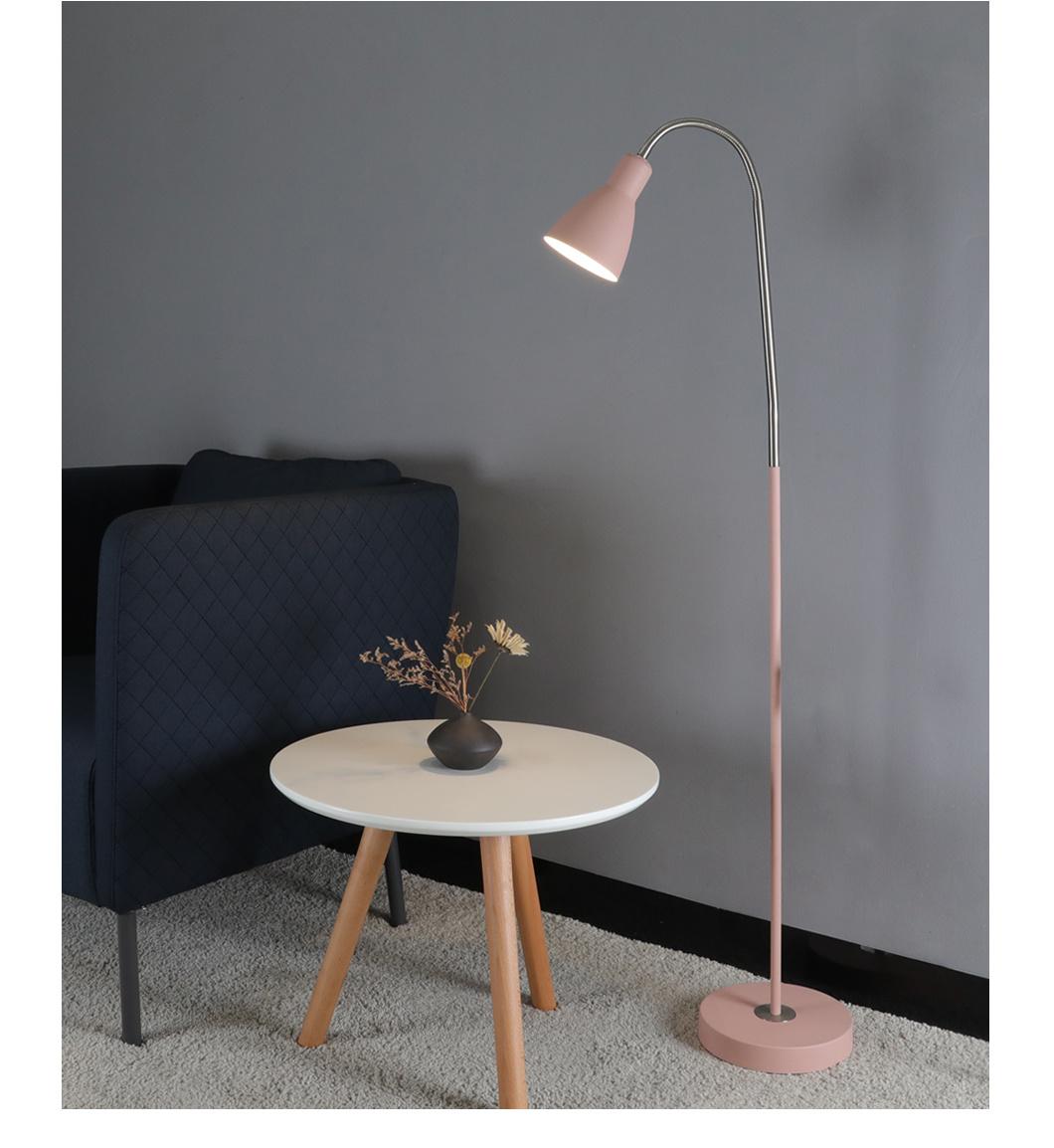 Indoor Decorative Modern Standing Simple Nordic Comtemporary Metal Floor Lamp