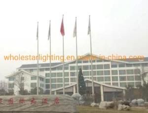 Hotspring Hotel Shangdong Lamp -Hotel Public Areas Lighting