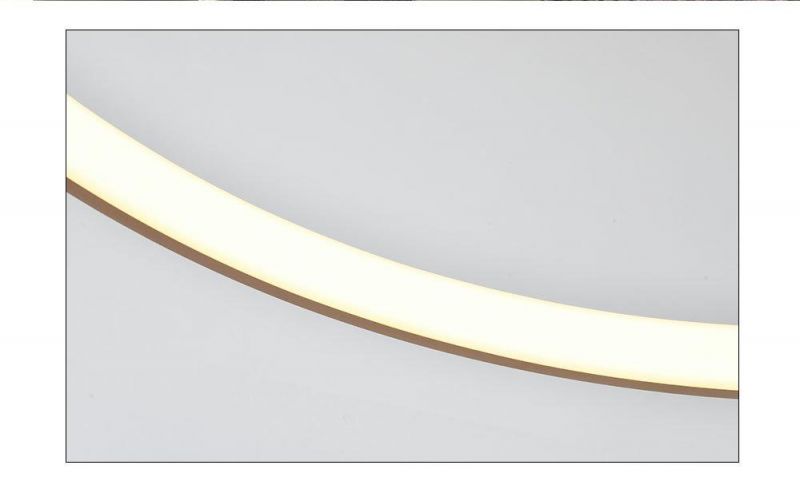 Ceiling Mount Mito Suspended Floor Living Dining Hallway Lobby Bar Hotel Office Hanging Lighting Chandelier
