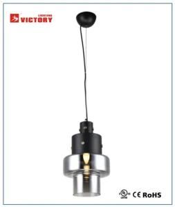 Indoor Modern Lighting New Design Popular Pendant Lamp