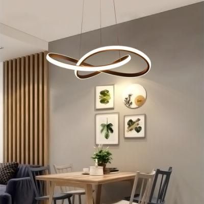 Nordic Style Art Simple Pendant Light Bedroom Hotel LED Unna Artistic Circular Wave Pendant Light (WH-AP-313)