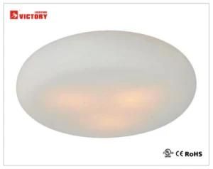 Modern LED Glass Decorative Hotel Ceiling Light