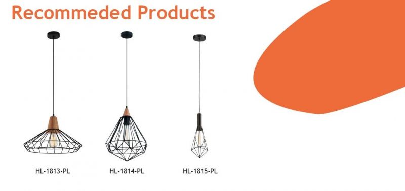 1 Light E27 Black Wire Shade Pendant Lamp (HL-1819-PL)