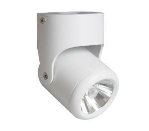 2015 LED 10W COB Ceiling Light