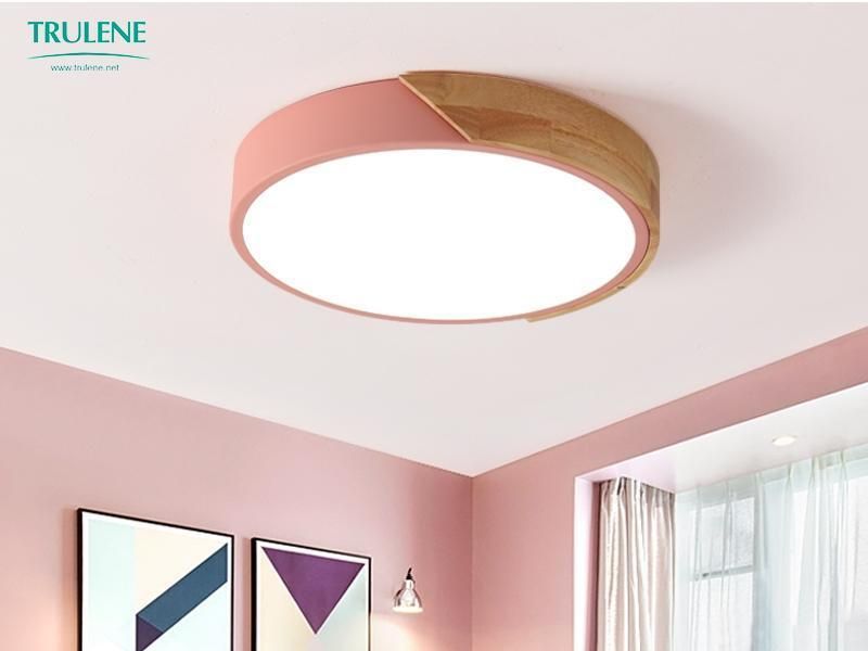 Smart Modern Bedroom Living Room Home Lighting LED Ceiling Light