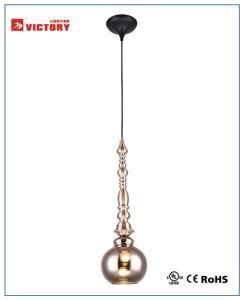 Indoor/Inteior Decorative Metal Hanging Pendant Lighting