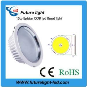 High Power LED COB Downlight (ZLZ-THD-15)