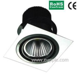 10W LED Ceiling Light/LED Downlight/COB (FTS-C077)
