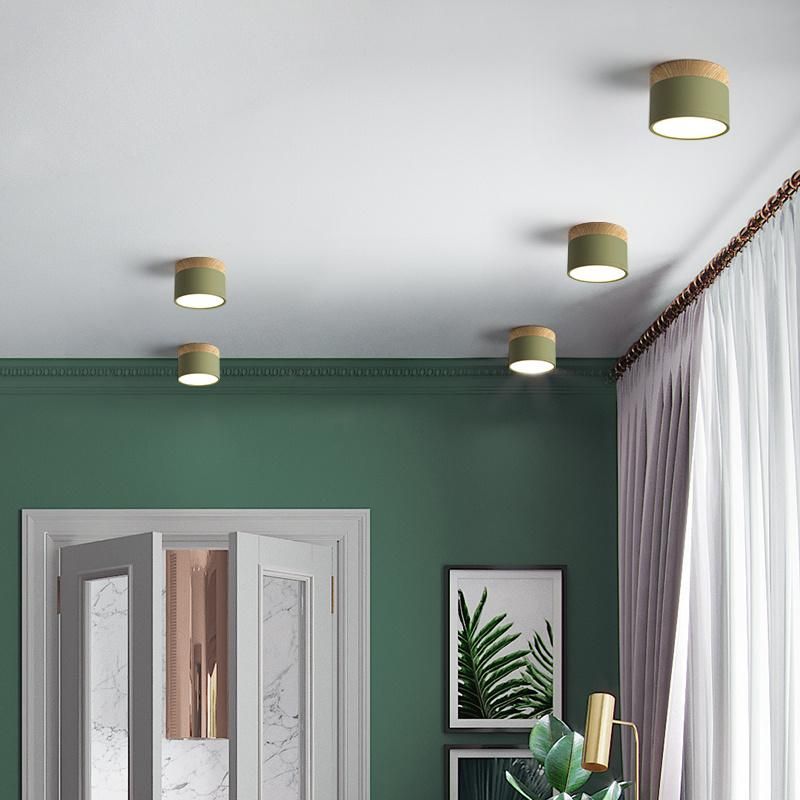 Mini Small Size Concise Style Ceiling Lamp Pendant Lamp Restaurant Lamp