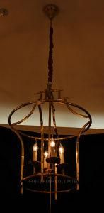 Metal Copper Best Selling Pendant Light for Home or Hotel