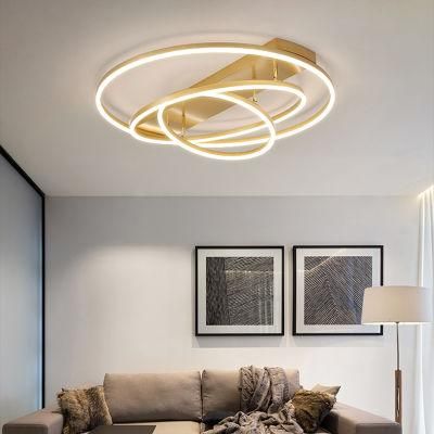 LED Ceiling Lamp Living Room Lamp Golden Nordic Lamp Ins Ring Lamp