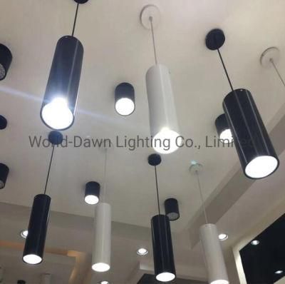 Elegant Home Lighting Surface Downlight Suspended Hanging Ceiling Lights LED Down Light