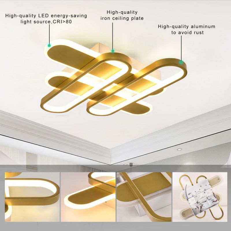 Dimmer Ceiling Lamp Residential Lighting LED Pendant Lamp Chandelier Light