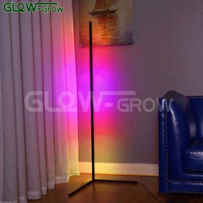 Remote Control Atmosphere Indoor Decor LED Corner Floor Lamp Light for House Home Decoration