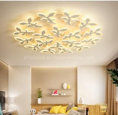 Modern Acrylic Art LED Ceiling Lighting/Lamp for Villa Decoration Zf-Cl-035