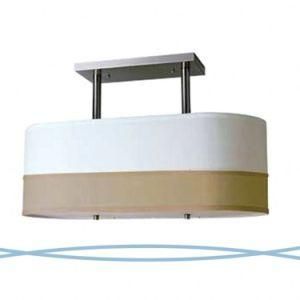 Contemporary Brushed Nickel Ceiling Lamp
