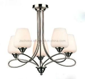 Retro Iron Downlight Pendant Light Chandelier