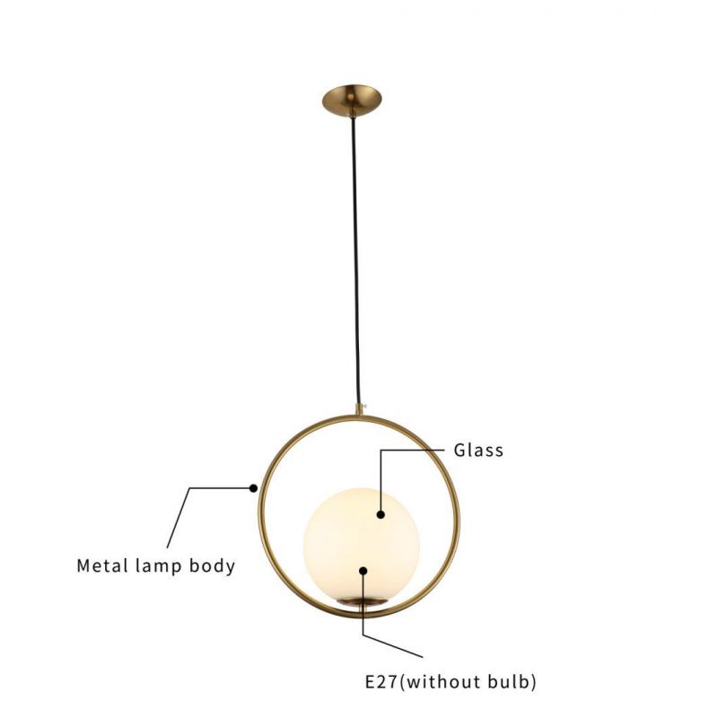 Industrial Mini Pendant Lighting, Glass Iron Hanging Light Fixture, Round Frosted Globe Pendant Lights with E27 Base Adjustable Ceiling Indoor Lamp