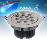 12*1W LED Downlight YC-DO1007